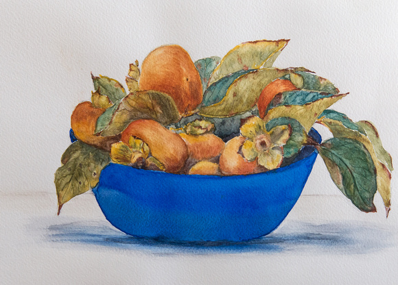 Persimmon In Blue Bowl