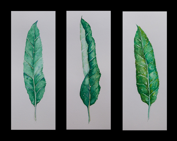 Leaf Trio 2